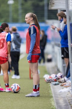 Bild 277 - wBJ Hamburger SV - FC Suederelbe : Ergebnis: 9:0
